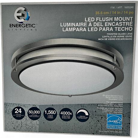 Energetic Lighting 14" LED Flush Mount Ceiling Light MXL1074