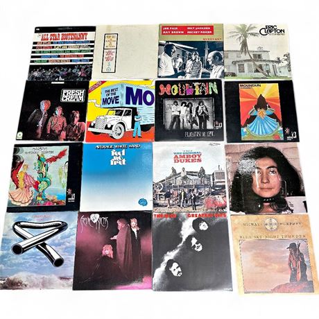 Lot of 16 Classic Rock & Blues Vinyl LP Records Dylan Clapton...